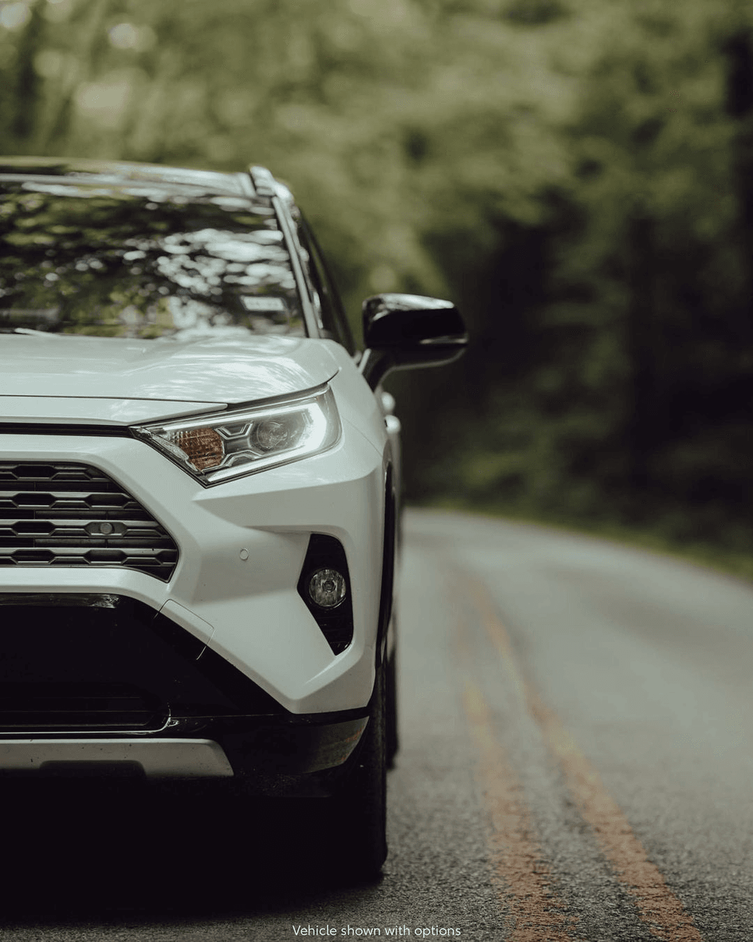 White RAV4 on a tree-lined road